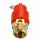작은 금관 악기 안전 안전 밸브 1/4&quot; BSP 120PSI 압력 방출 규칙